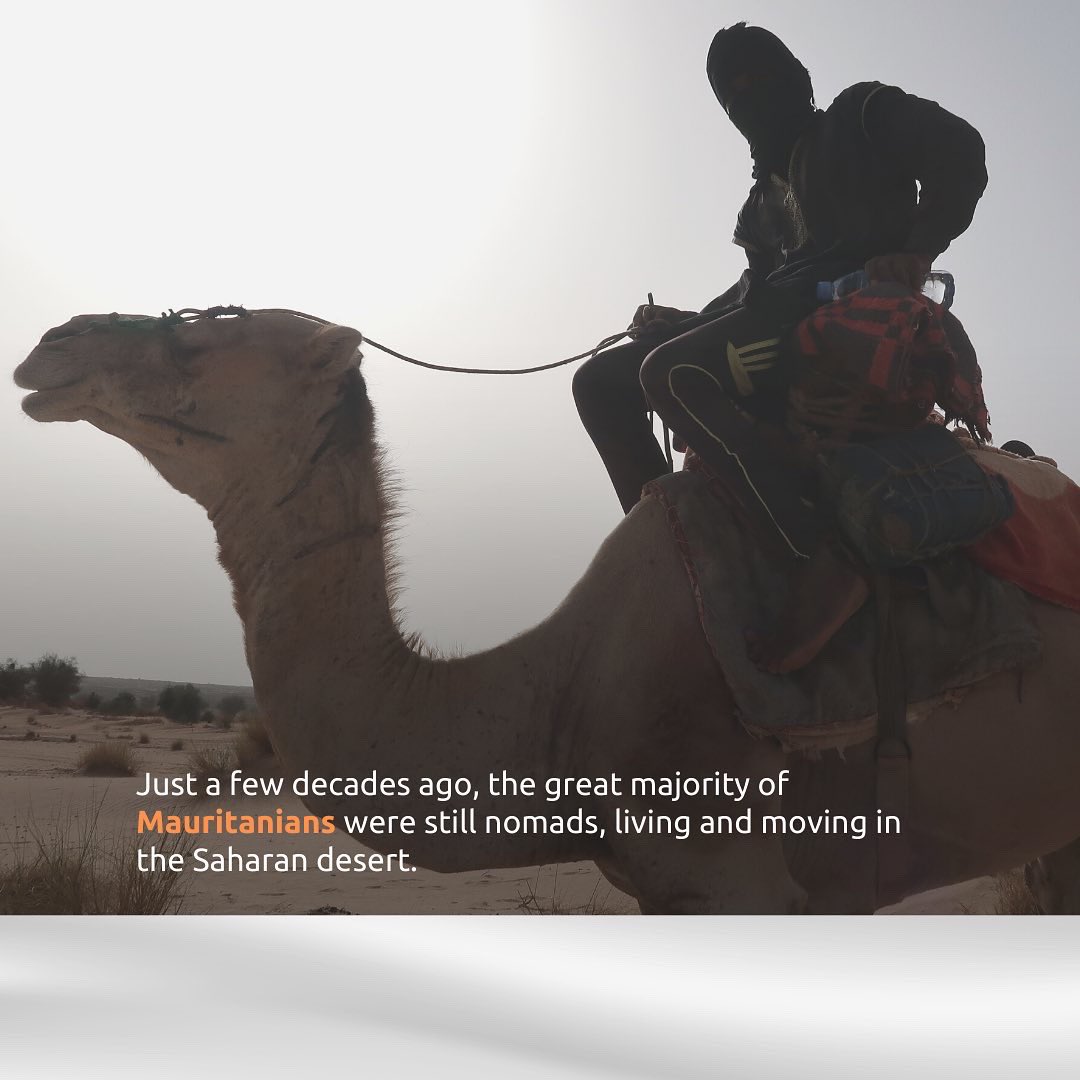 whileinafrica's tweet photo. Did you know that nomads in Mauritania continue to live in the same way from 3000 yrs ago? They move as seasons change in search of food and water #nomads #mauritania https://t.co/7DGCqXSrnB
