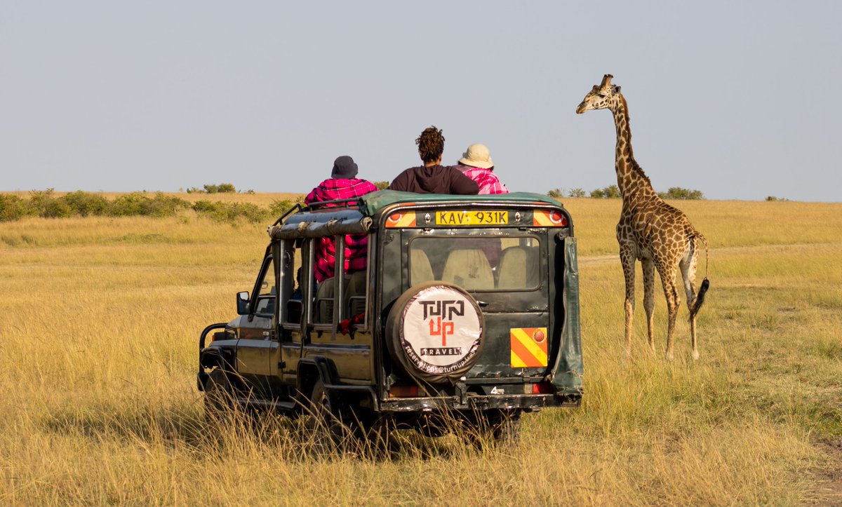 Turnup_Travel's tweet photo. A typical eventful day out in the wild!

#UnlimitedHolidays

📸 @TurnupInMotion https://t.co/XHObcvvpqM