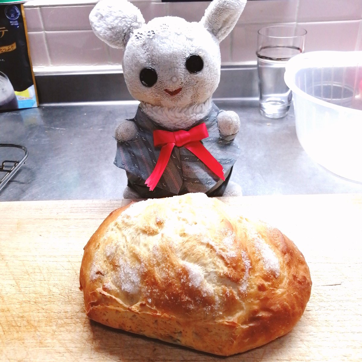 shimba_bakery's tweet photo. 黒豆丸パン🍞ビッグサイズです！上にグラニュー糖をふりかけました。キラキラ綺麗です🐰
．
#パンスタグラム　#パン好きな人と繋がりたい　#パンのある暮らし #気まぐれパン　#しんばベーカリー　#bakery　#bread　
#面包 #真场面包店
#ゆきっこポロロン https://t.co/rCzt2GYTgG