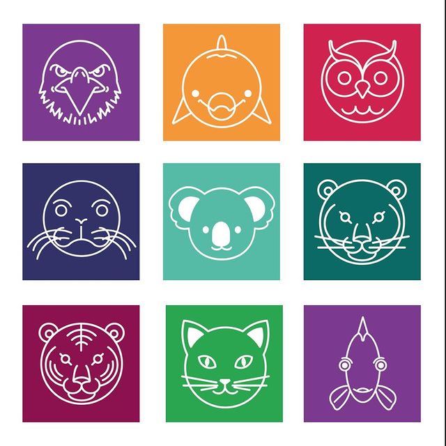 Careers Wales on Twitter "This WorldAnimalDay, find out if you're