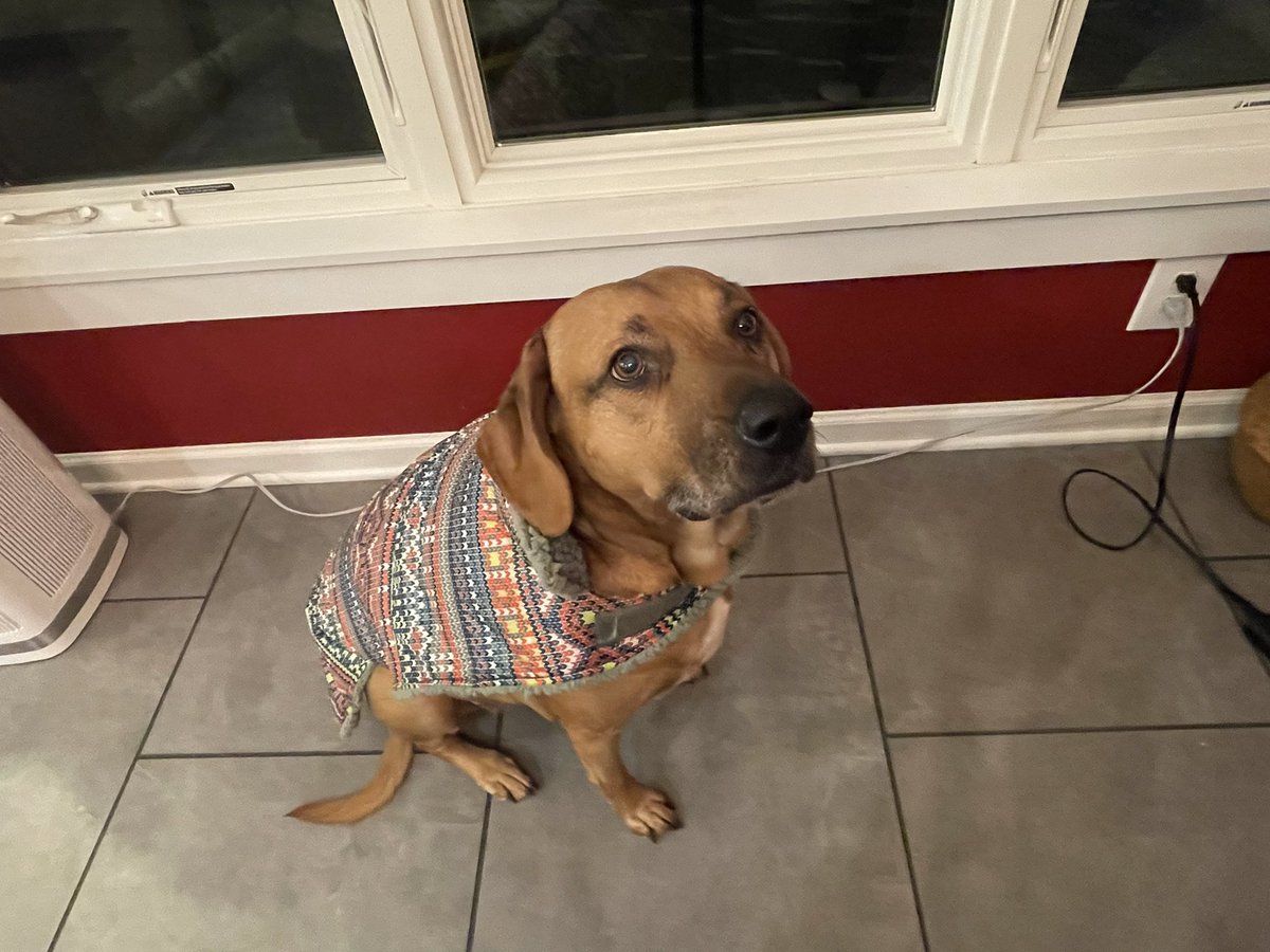MamaPollina's tweet photo. @JohnFetterman @sivavaid @LeviFetterman Sweet girl.  I can’t imagine. https://t.co/Tf3bqvqVfu