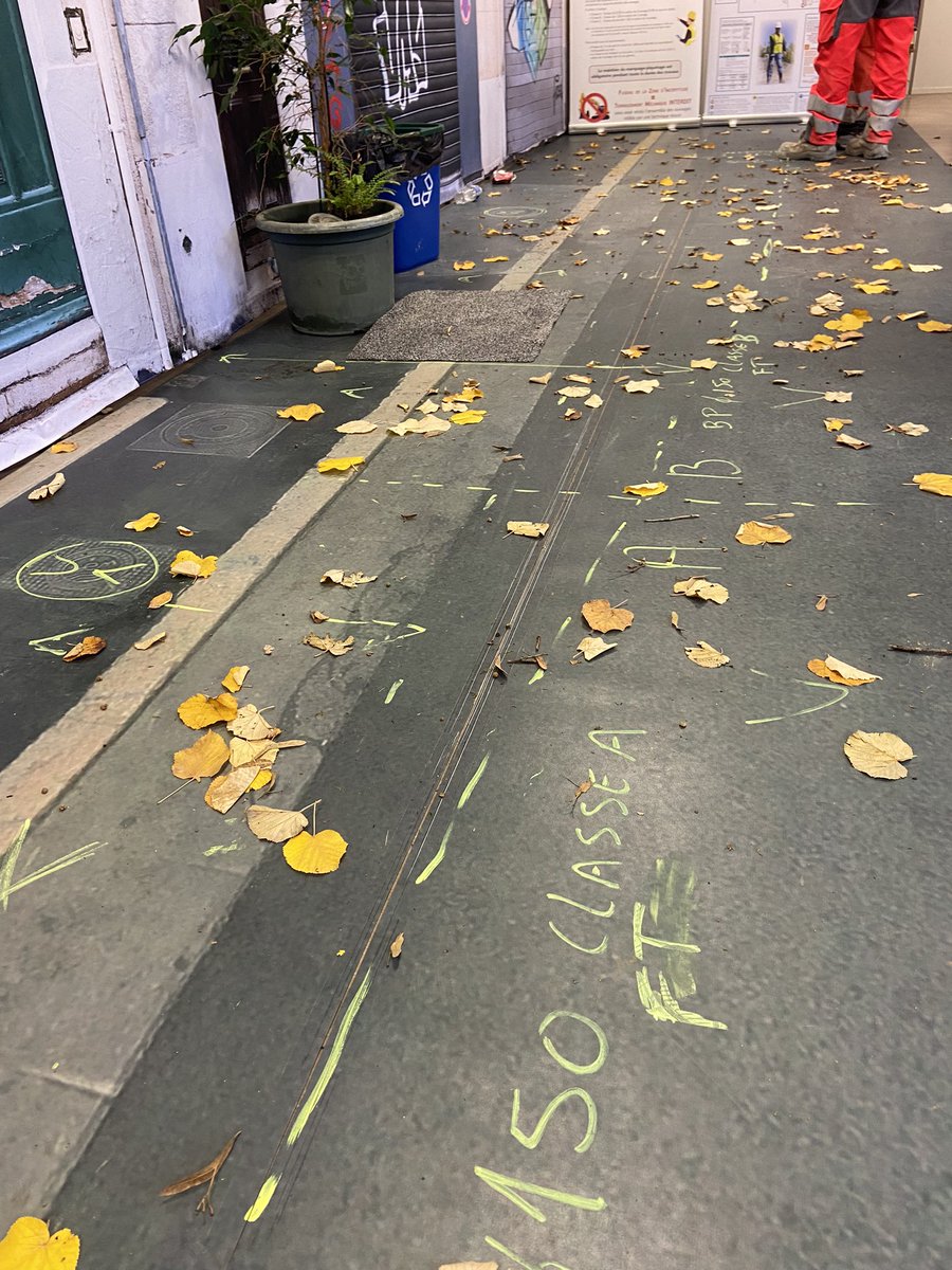 Ludovic TREMEN tweet media