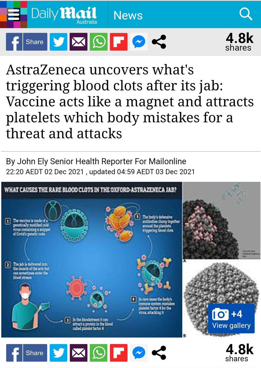 Johannes Kaiser tweet media
