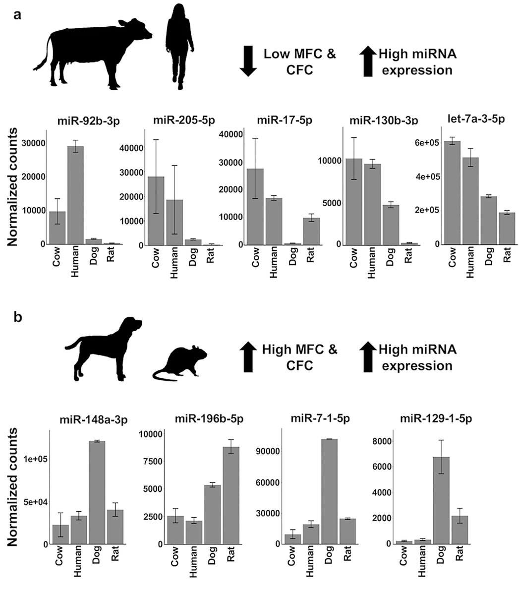 Mammary_journal's tweet photo. Comparative Analysis of microRNAs in 🐮🐷🐴🐭👩‍🦰 &amp; rat by @gerlinde_de team from @cornellvet reveals a role for miR-92b-3p in human #mammary stem/progenitor cells. https://t.co/OnV9Howl36 https://t.co/u1mP5s5ejC