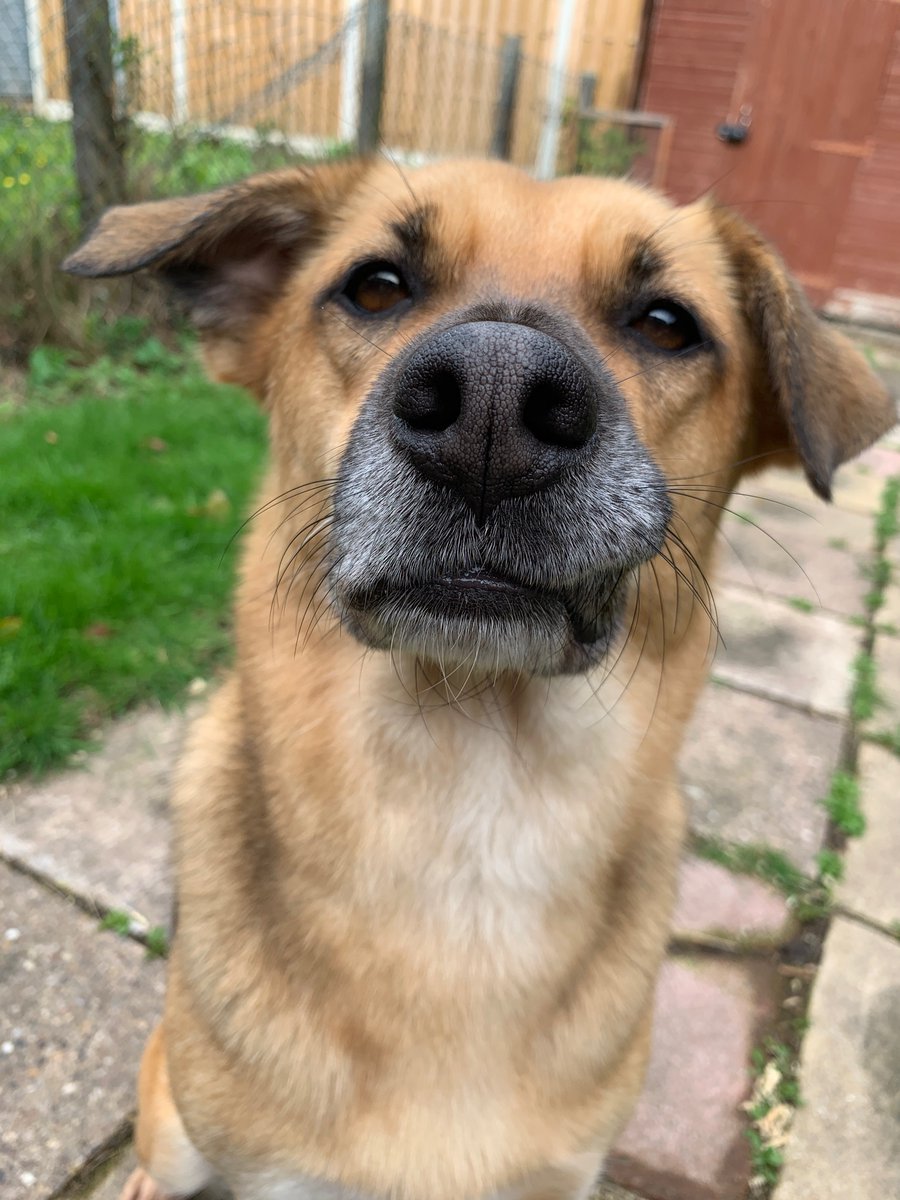 She’s clean and fresh and fun