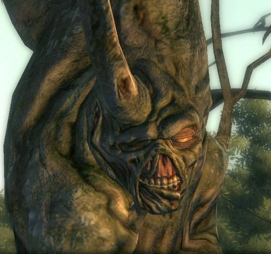 Kat_flufy's tweet photo. i found my own "wise tree meme.jpg" this is so #randem! xD https://t.co/xQTQuKoJpC