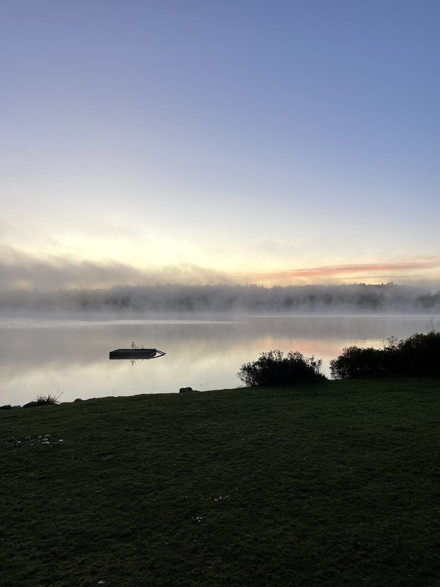 Rick Kunc tweet media