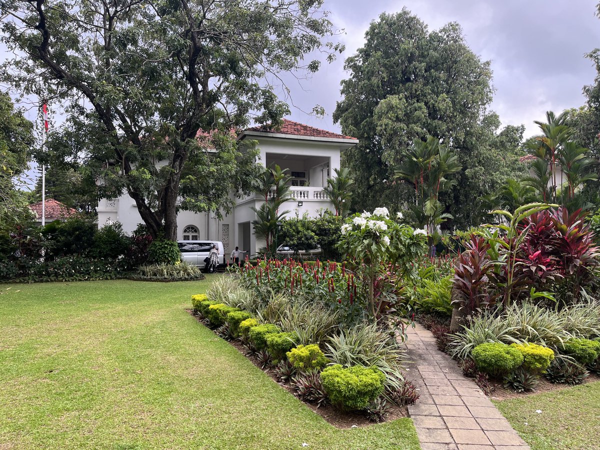 David McKinnon tweet media