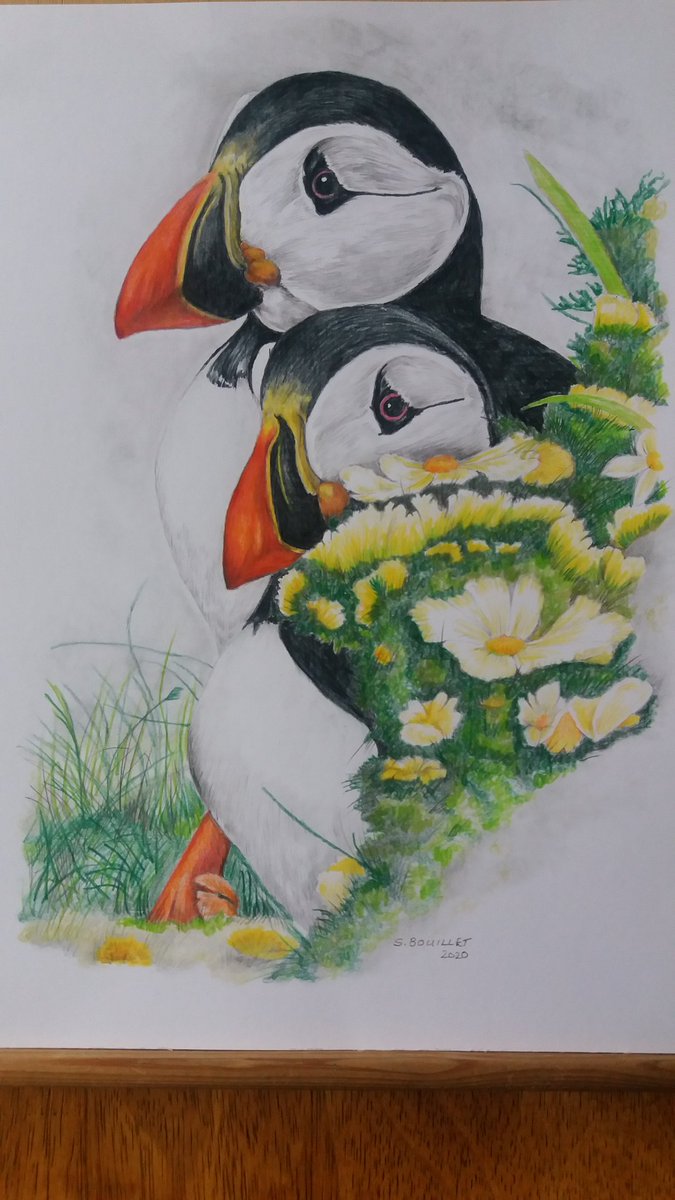 For #WorldAnimalDay2022 a few of my animal drawings  from years gone by