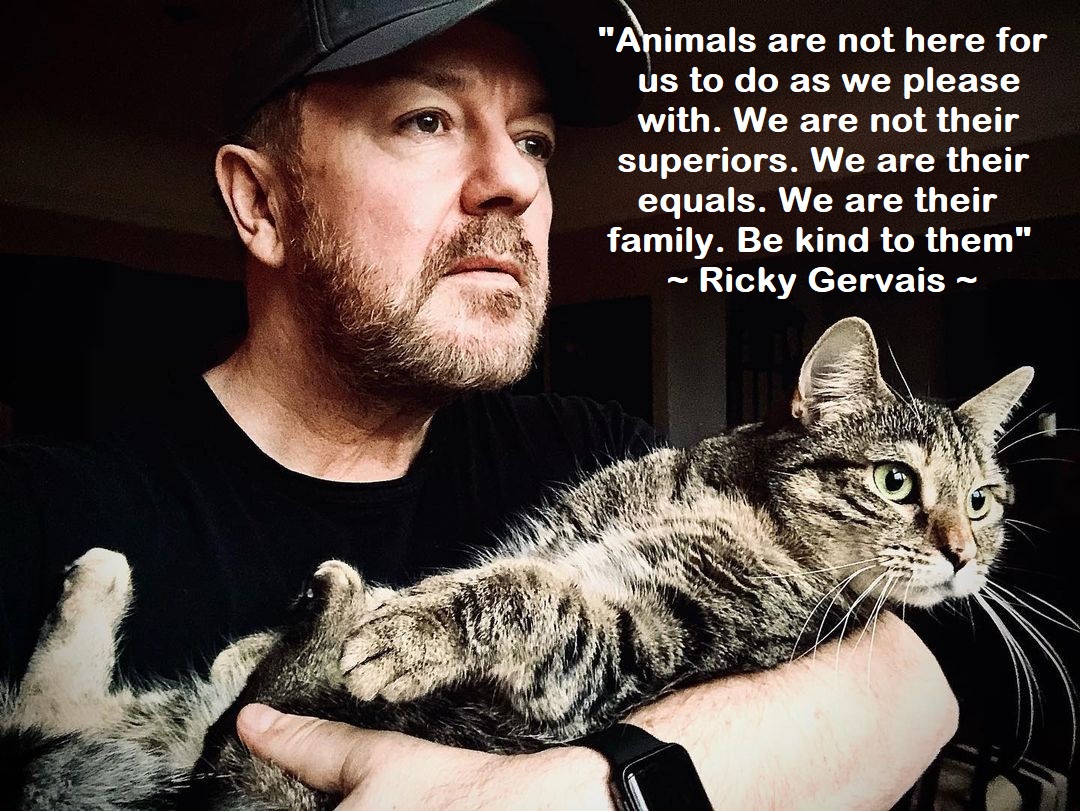 #WorldAnimalDay. 'Animals are not here for us to do as we please with. We are not their superiors. We are their equals. We are their family. be kind to them' ~ @RickyGervais. 🙏 Please support our work helping animal charities by donating ANY amount at donorbox.org/protect_all_wi…🐾