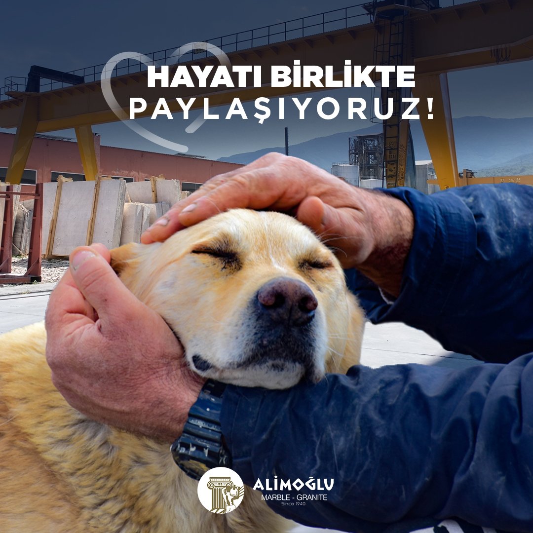 Not just for a one day. We're always living with harmony.
Happy World Animals Day!
---
Bir Gün Değil, Doğada Her Gün Onlarla Beraberiz.
Dünya Hayvanları Koruma Günü Kutlu Olsun!

#alimoğlu #DünyaHayvanlarıKorumaGünü #4Ekim