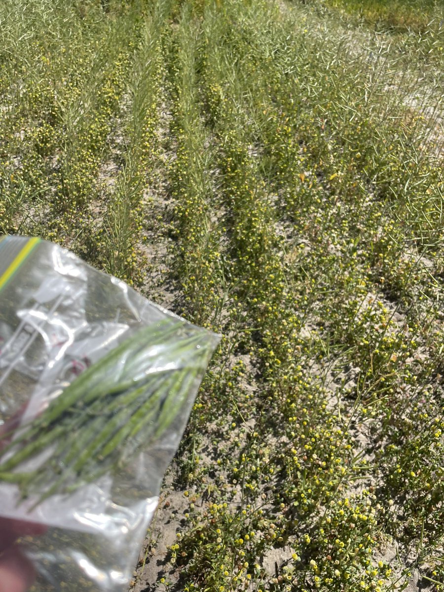 Sarah Walters tweet media