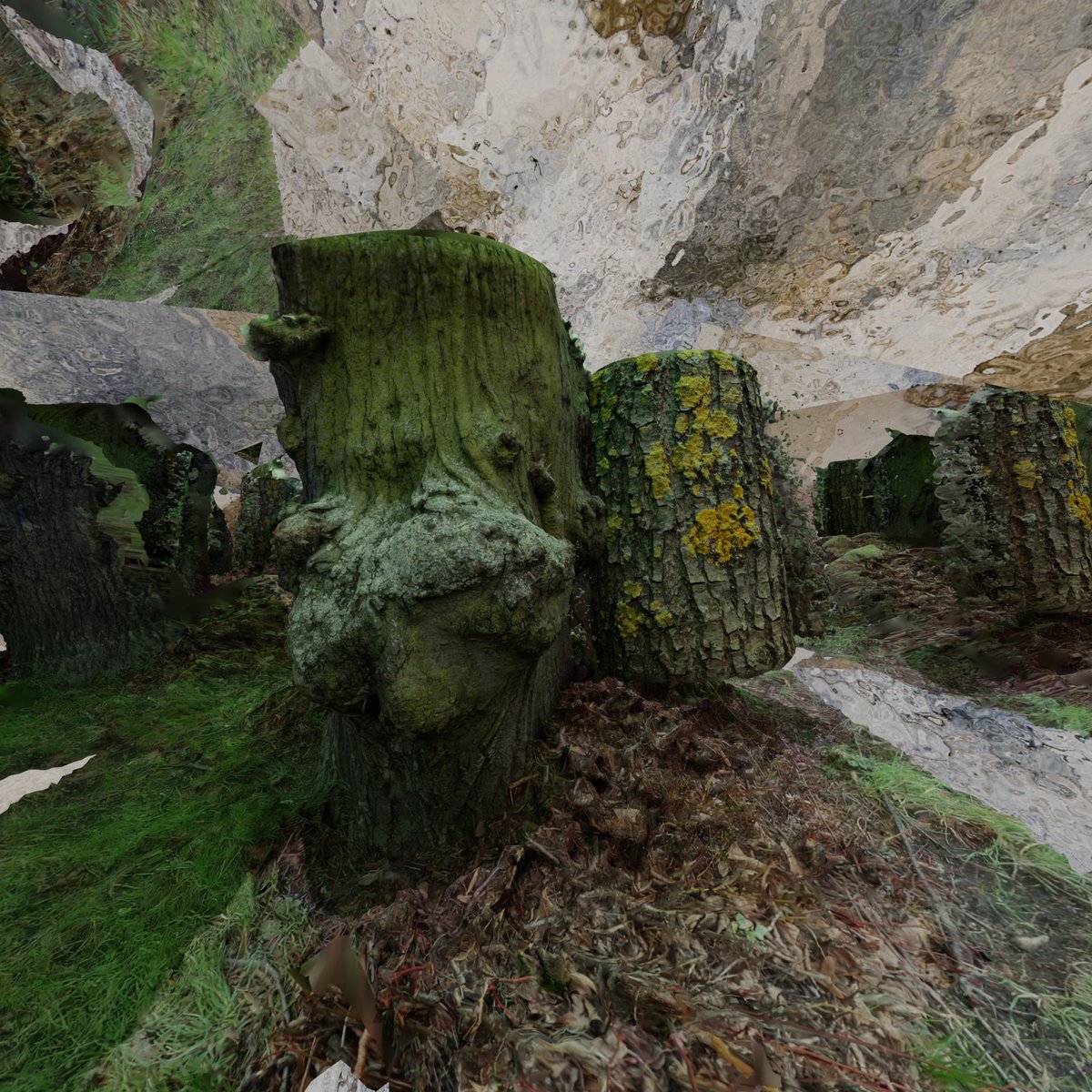 Inner world, dimensions, a matter of perspective
pazcarolina.com
#my3Dworld #ERRORtemporal