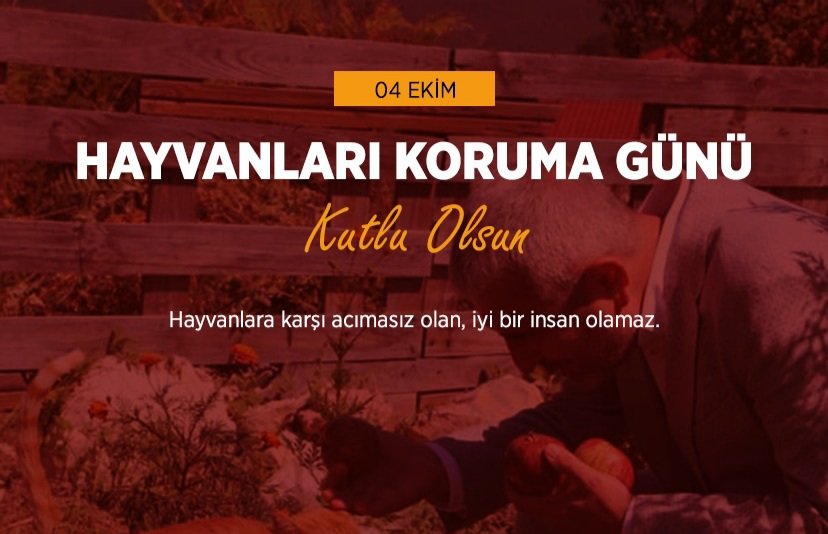 Her canlının ihtiyacı olan şey sevgidir. 

Karşılıksız sevgileriyle dünyamızı güzelleştiren minik dostlarımıza, şefkat ve merhametle yaklaşalım, haklarını birlikte koruyalım. 

4 Ekim Dünya Hayvanları Koruma günü kutlu olsun.🐾🐶🐈‍⬛
#HayvanlarıKorumaGünü
