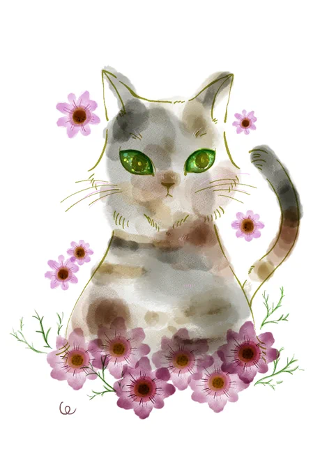 サビ猫 