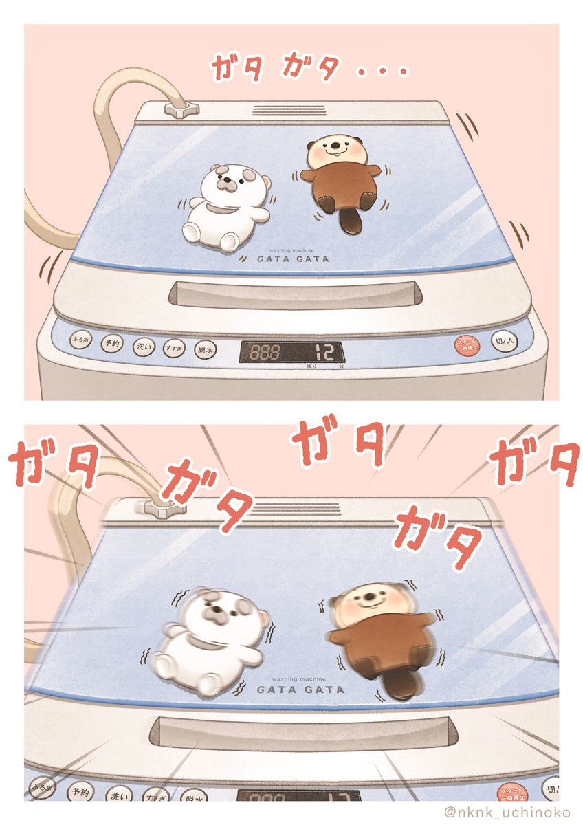 洗濯機の揺れを味わう
ととん🐻‍❄️＆ぽんず🦫