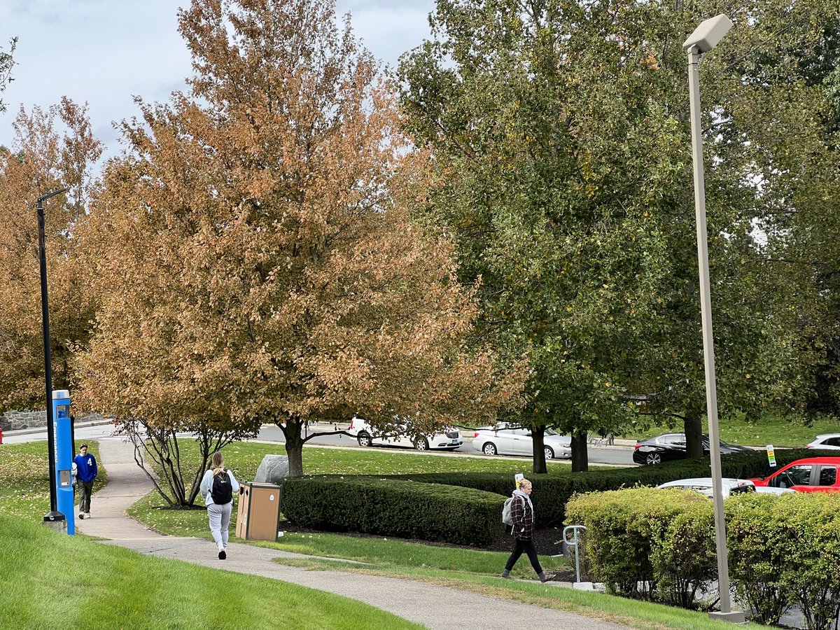 LasellUniv's tweet photo. Fall has officially arrived https://t.co/ZIq3wKcZqG