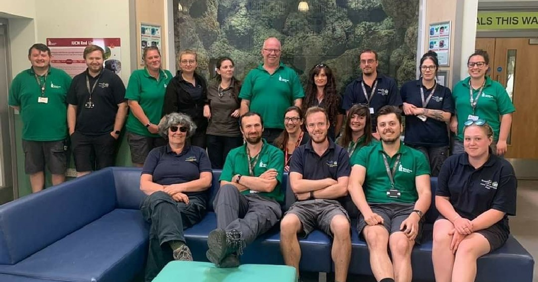 Reaseheath's tweet photo. Happy #InternationalZooKeeperDay π
Many of our keepers studied here at #Reaseheath. Find out more about our Animal Management courses: https://t.co/qHjNGr3qBu
#zookeeper #animallover #animalwelfare #animalhusbandry #zooanimals https://t.co/olgJlJaGLC
