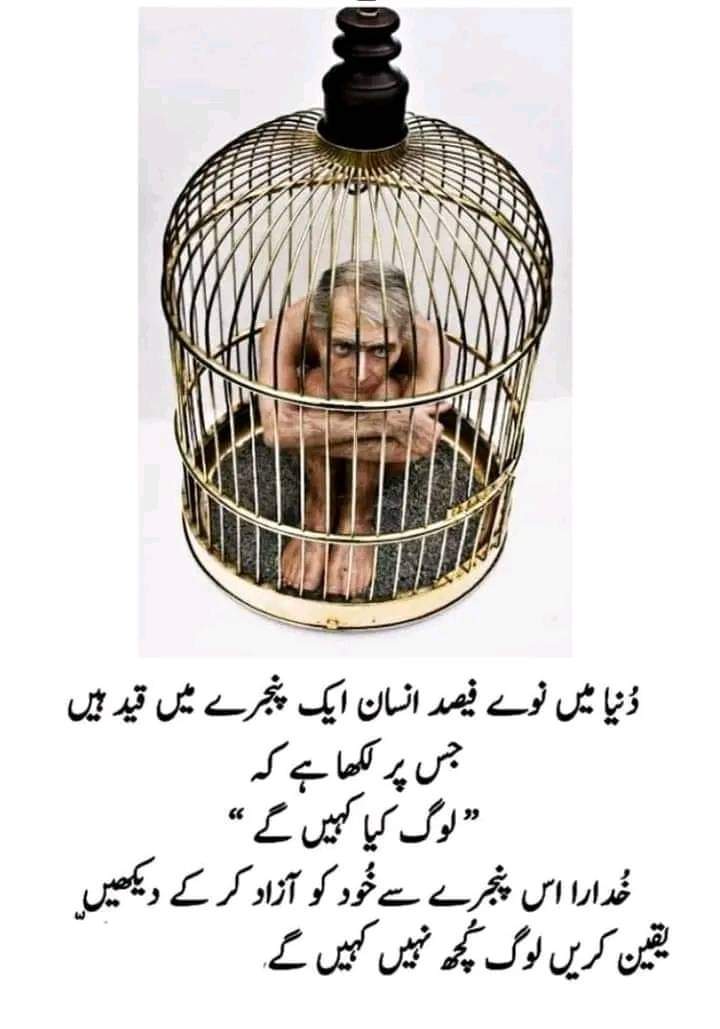 BabarMustafa007's tweet photo. https://t.co/lJYBmJ9knj