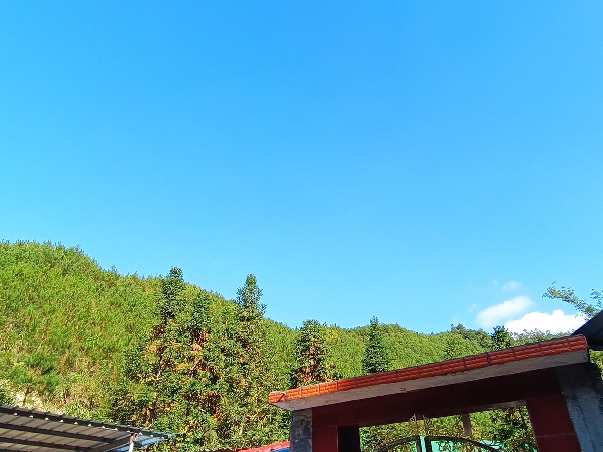 The air is so.... fresh ！