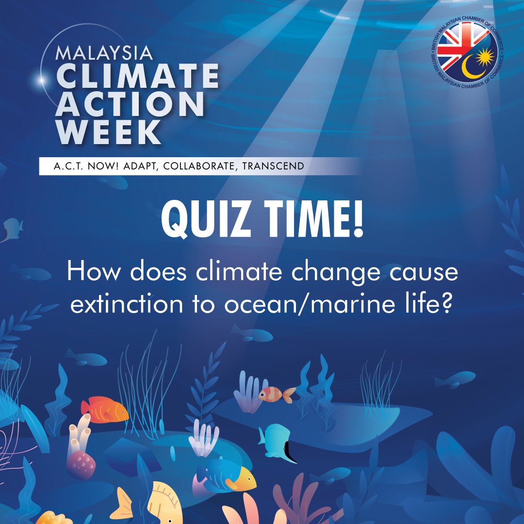 BMCCmy's tweet photo. #DidYouKnow The ocean covers over 70% of Earth’s surface and plays a huge part in the environment. So how does #climatechange affect ocean life? Tweet your answers down below! 

#MCAW2022 #ACTNOW #BMCCEVENT #environment #sustainability #netzero #oceanlife #climateaction https://t.co/pUwCagFXDY