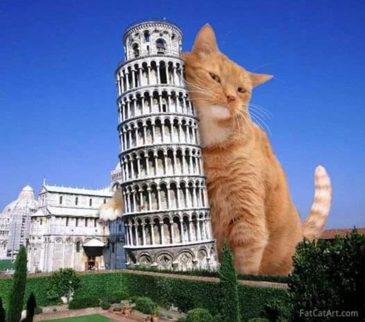 VI SIETE MAI CHIESTI COME MAI LA TORRE DI PISA PENDE? SVELATO IL MISTERO