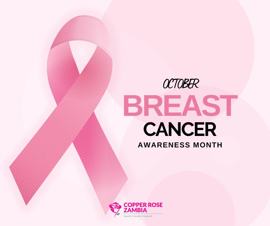 CopperRoseZM's tweet photo. October is Breast Cancer Awareness month, an annual campaign to raise awareness of this complex disease.
Let's be aware 🎀
#copperrosezambia #BreastCancerAwarenessMonth #letsbeaware #PinkOctober2022 https://t.co/zXAlltLxDs