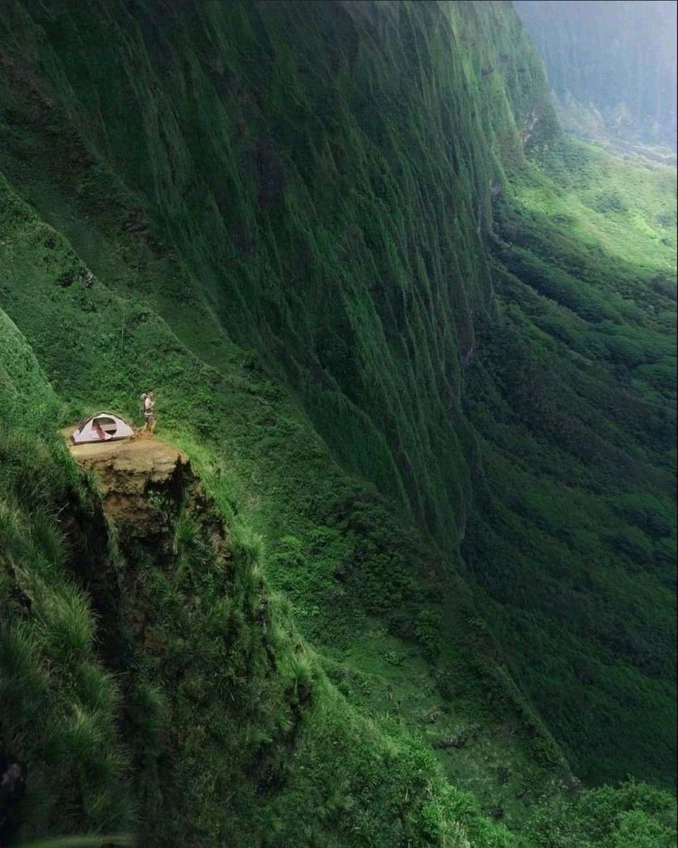 _magical_nature's tweet photo. Hawaii https://t.co/cqHcWruw1D
