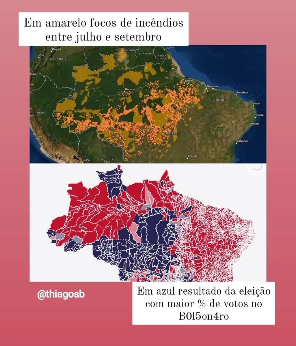 bolsonarismo e as queimadas na Amazônia