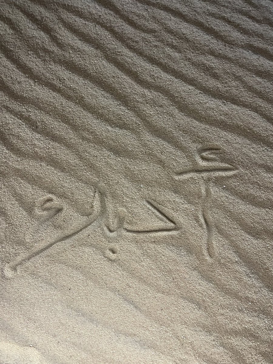 2pp99's tweet photo. اما اني انساك لا والله و احبك وابيك
وماني بناسيك لو قلبك يصد وسلا 

ماتدري اني بعد فرقاك؟ مثل الدريك
راحت حياتي مع الغربان بس و ولا.

ما غير اهوجس وافكر واذكرك واحتريك
واطرد وراء طيفك ليا مرني وانجلاء. https://t.co/Km7SRQ09Xz