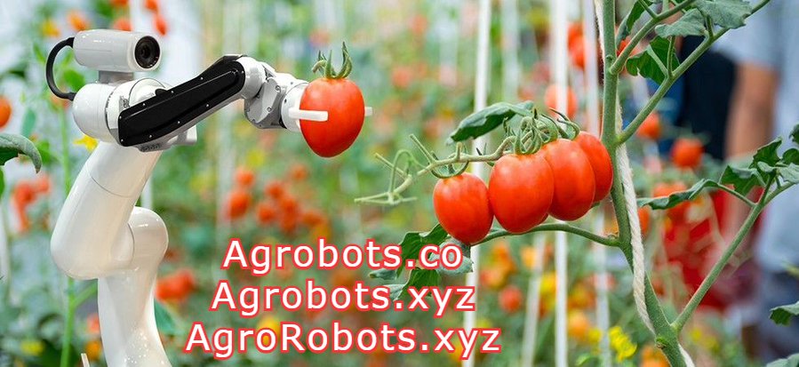 Agrobots (.co)
Agrobots (.xyz)
AgroRobots (.xyz)

Agricultaral Robots domains for sale

#Agrobots #AgroRobots 

#agriculture #agro #agrotech #agrotechnology #Optimus #OptimusRobot #Automation #Autonomous #Autonomousrobot #ai #AIrobots #agriculture #agricultural #agriculturaltech