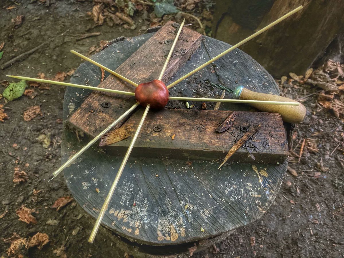 RootedWild's tweet photo. Spiderweb conkers! One of the seasonal crafts on offer at our Friday Home Ed day! Thank you https://t.co/qNzjEGFEgC