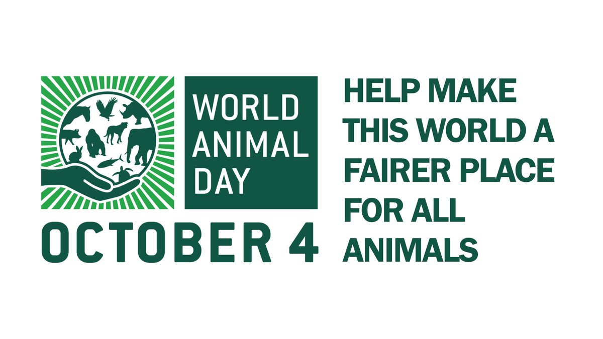 Vetspanel's tweet photo. Started in 1931 in Italy, World Animal Day's mission is to raise the status of animals in order to improve welfare standards around the world. 

Over 1,000 events are run every year across the world.

Get Involved:
https://t.co/ISlH25WQtm

#AnimalDay #WorldAnimalDay https://t.co/dshJNxOvRE