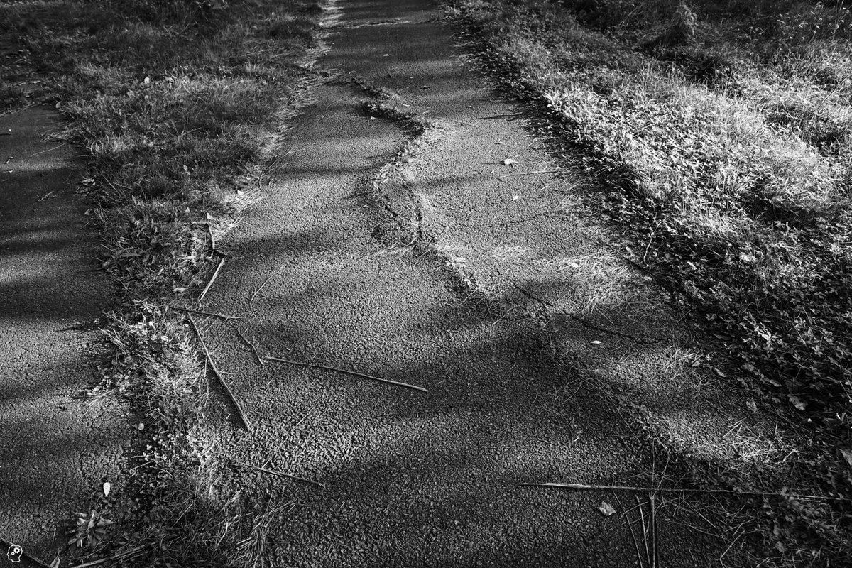RobertMerlo's tweet photo. Abandoned Places: A Series
- Shadow Pines, NY

#urbex #abandoned #abandonedplaces #decay #urbexphotography #lostplaces #urbexworld #urbanexploration #rochester #rochesterny #ROC #golf #golfcourse #abandonedgolfcourses #cartpath #golfcartpath #blackandwhitephotography https://t.co/c1fdTSgiUf