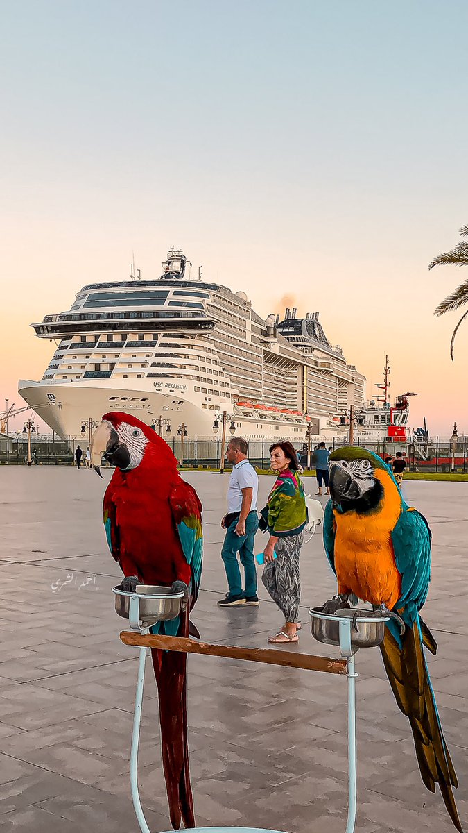 مدينة ينبع الصناعية tweet media