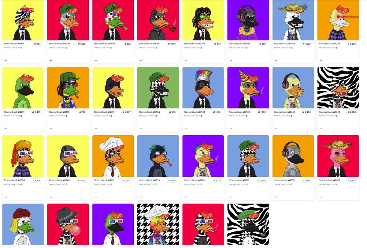 shockermandan, CPA, CFA tweet media