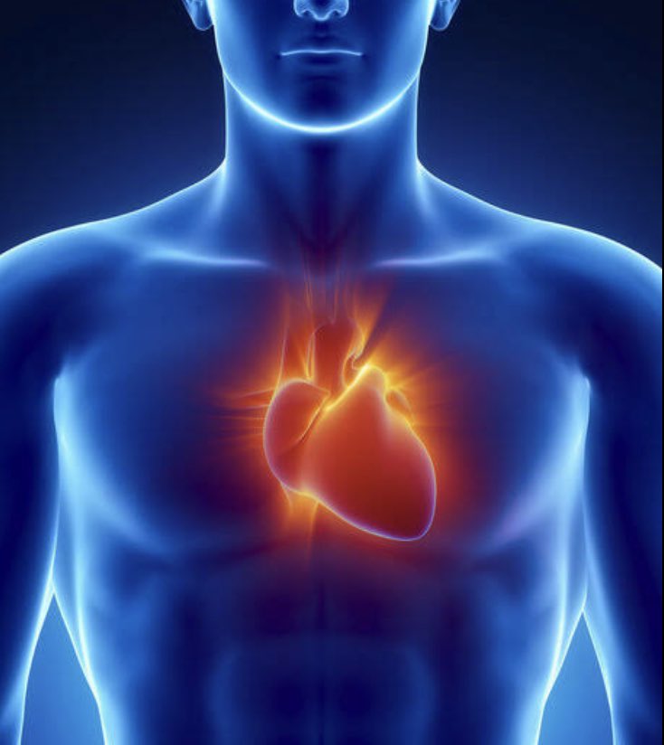 El corazón tiene razones que la razón ignora. Excelente martes !!!