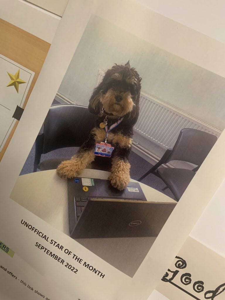 claireburrows07's tweet photo. It’s unofficially official 🤩 x #StarOfTheMonth #EmpolyeeOfTheMonth #UnofficialTherapyDog #NHSBedManagement @WeAreLSCFT #ArchieTheCavapoo https://t.co/BtCKrVuE66