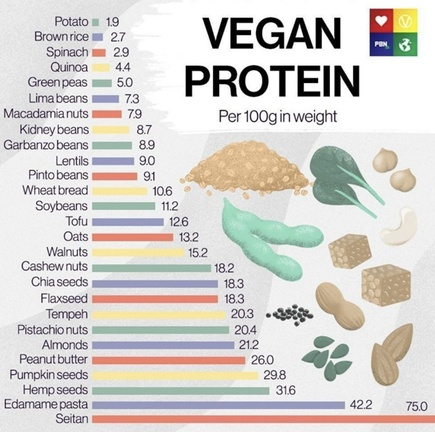 veganfuture's tweet image. 