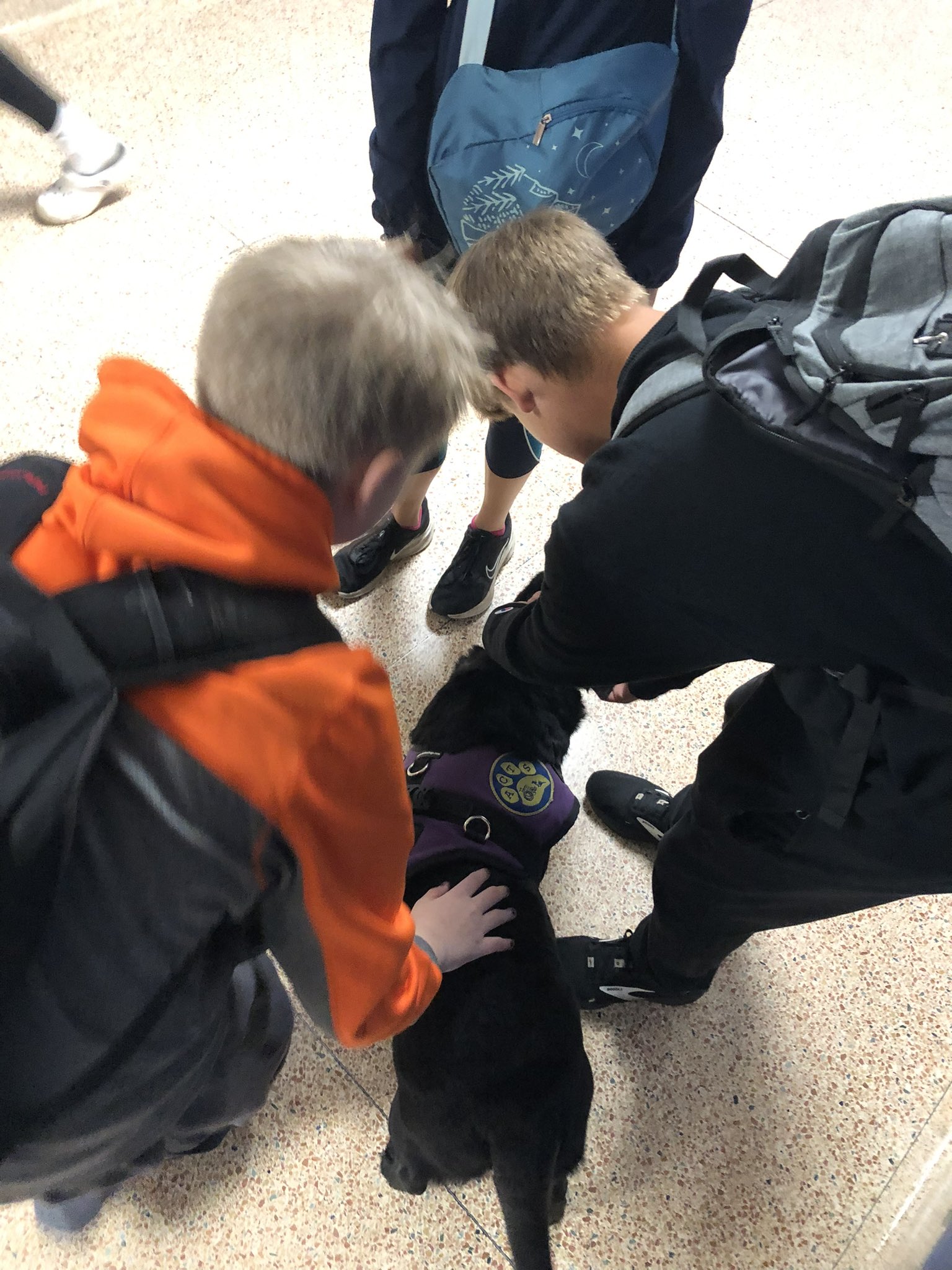 The Turtleboy Twitter Mystery: We Uncovered The Truth! - c9gcoun