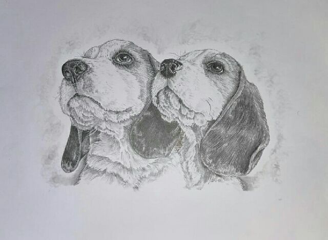 a few more drawings to celebrate World Animal Day

#WorldAnimalDay2022 #WorldAnimalDay #Pencildrawing #pencilart