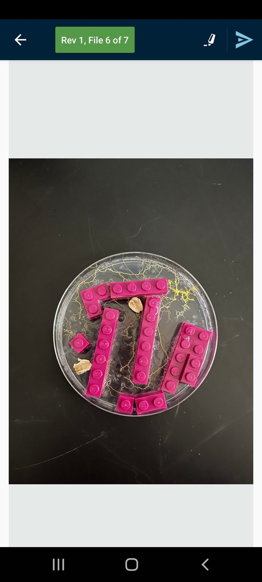 educoyner's tweet photo. Thank you, @FralinLifeSci, for the slime mold kit! We were able to do and see some really neat things in AP Biology! https://t.co/Uy0i4DnT87
