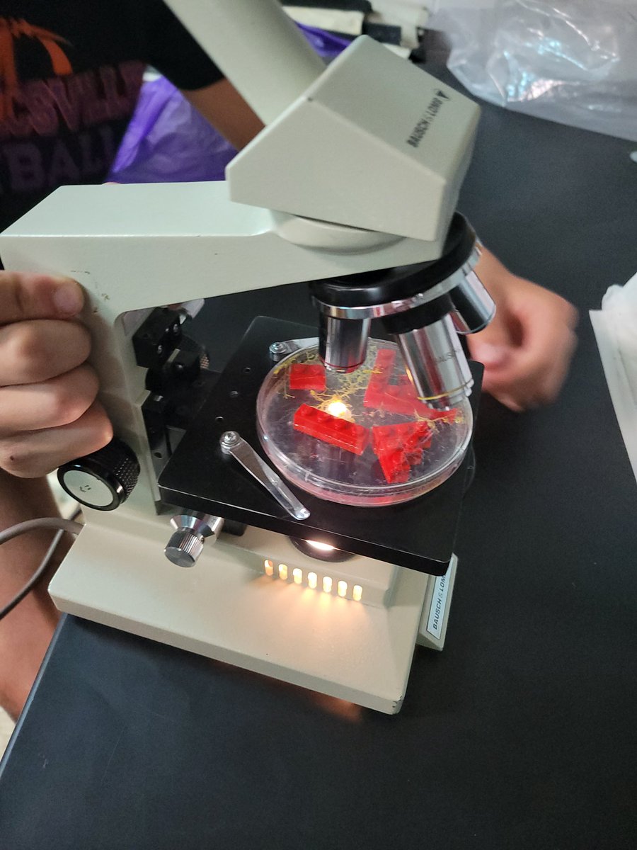 educoyner's tweet photo. Thank you, @FralinLifeSci, for the slime mold kit! We were able to do and see some really neat things in AP Biology! https://t.co/Uy0i4DnT87