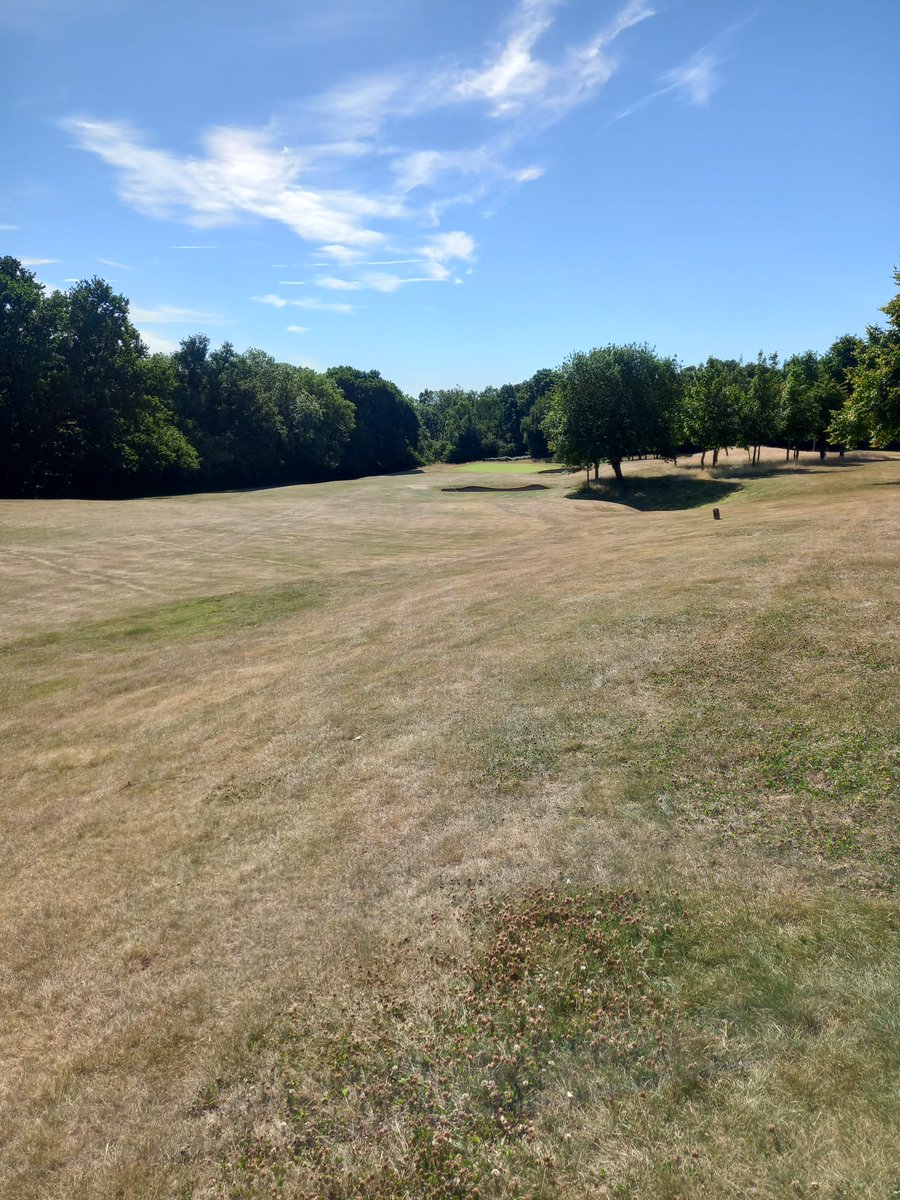 ASHLEYWOODGOLF's tweet photo. What a difference a month makes
The 10th Hole!
Amazing how hardy grass is and what a bit of rain (and wetting agent) can do!
#membersclub
#stripesareback
#onemonthlater https://t.co/nC3ijP6sc7