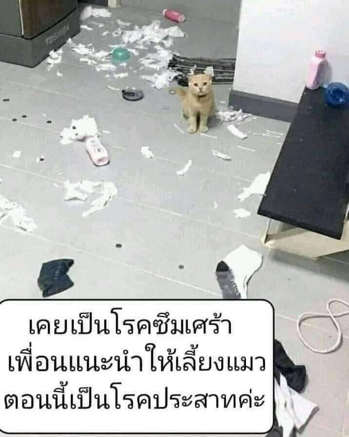 Cooper tweet media
