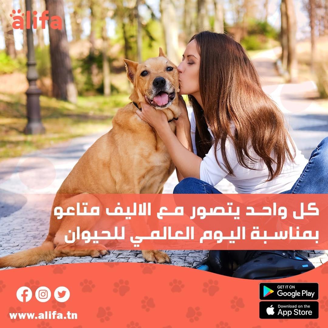 alifa_world's tweet photo. Montrez nous vos beaux toutous avec le #alifa et laissez nous vous surprendre avec de jolis cadres 🖼 ! Fêtons la journée mondiale des alifs ensemble 🐾 #pet #animal #cat #dog #animaldecompagnie https://t.co/8jYt85wWE3