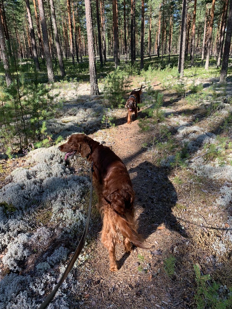 Hyvää Eläinten päivää tänään 💕