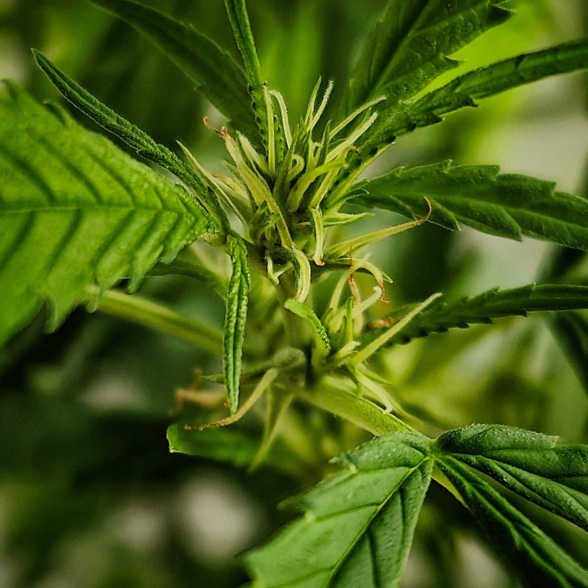 Onizuka (@onizuka9989) on Twitter photo 