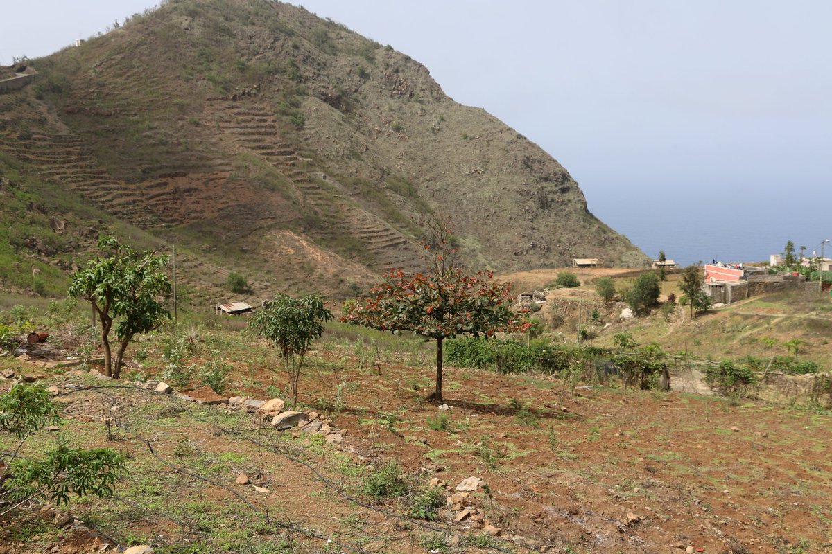 Ingenieure ohne Grenzen e.V. tweet media