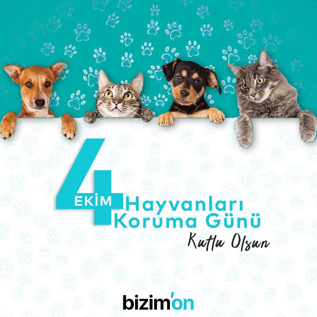 Bizimoncom's tweet photo. Dünya ortak evimiz ve hayvan dostlarımızla daha güzel ve huzurlu bir dünya yaratmak bizim elimizde.

Karşılıksız sevgileriyle dünyamızı güzelleştiren minik dostlarımıza bizler de şefkat ve sevgiyle yaklaşmayı unutmayalım. 

4 Ekim #HayvanlarıKorumaGünü kutlu olsun.🐾🐶 🐈 https://t.co/3IXpCoF6bB